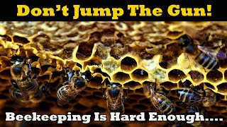 Don't Jump The Gun! Beekeeping Is Hard Enough...