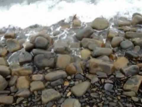 Paf83 - Привет с острова Утриш 2012г