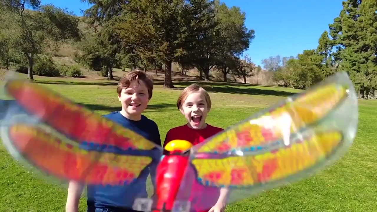 Video