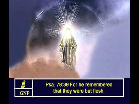 Psalms - 78 English Picture Bible