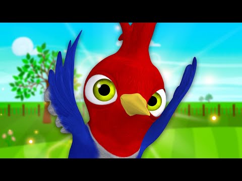 Lo Mejor de Pajarón ¡Juega, Canta y Aprende! | La Granja de Zenón