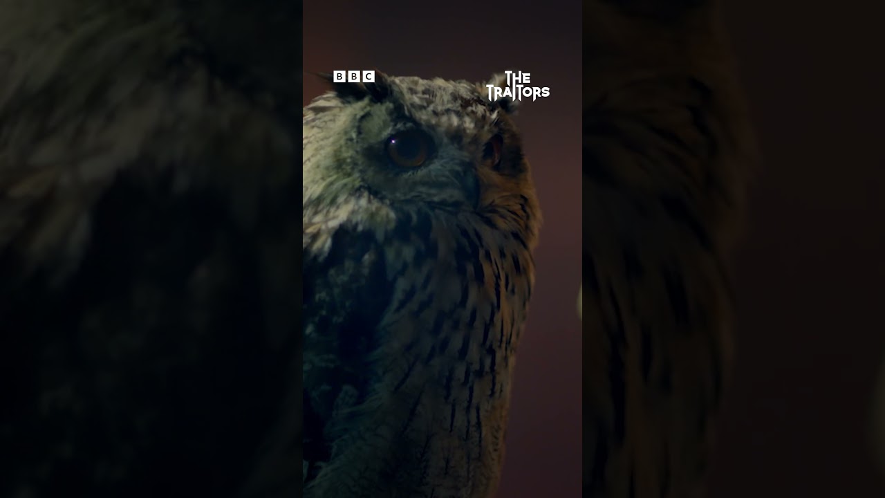 The Traitors Series 4 is coming... 😳 - BBC - YouTube