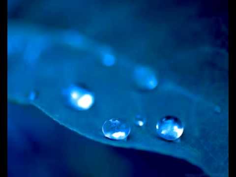 Sonic Division & Spychool - Crying Dew (Nitrous Oxide Remix)