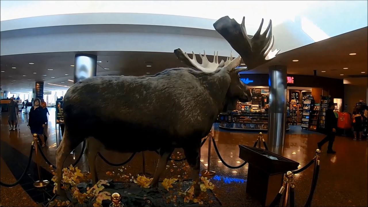 Alaska Airlines Alaska Lounge thumbnail