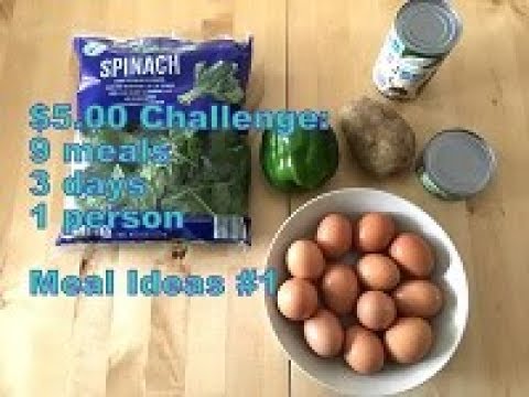 $5 Meal Challenge: 3 days - 9 meals - 1 person: Ideas 1