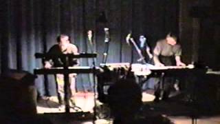 Jeff Greinke and Rob Angus, 'Sand Creatures' live, 1991