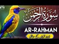 Surah Rehman beautiful recitation | سورہ الرحمن55| Ep.037 | Daily Quran | Edited