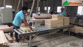 Woodmaster . MÁY CHÀ NHÁM CẠNH PROFILE 2 Trục giá tốt nhất Thị Trường VN 2020