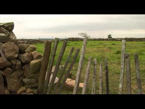 Cerro Largo - Grupo Cañas video 02