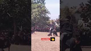 Download lagu atraksi seni psht||#storywa #shorts #viral mp3
