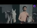 How To Feed Milk To Horse Baby 2022