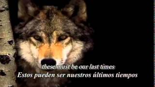 Ain&#39;t Your Fairytale - Sonata Arctica (Sub Español + Lyrics)