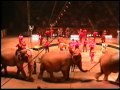 Circus Finale