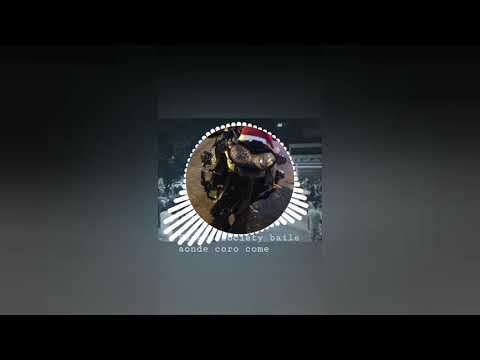 EMBRASAMENTO DO MAGRÃO -VEM NA CONTRA MÃO