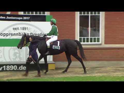 Galopprennbahn Dresden - 07.10.2017 - 1.Rennen