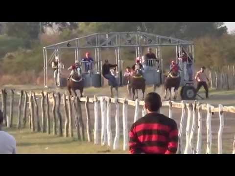 01-08-2015 - Club Hípico Sauce - 5ta Carrera - Clásico