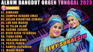 Download lagu ALBUM DANGDUT ORGEN TUNGGAL SPECIAL ELVY SUKAESIH TERBARU || ENAK DI DENGAR mp3