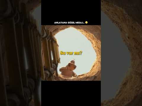 Suyun olmadığı dünyada altının değeri.. 🥲 @AircentBeta