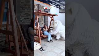 Download lagu Cewek cantik lagi asik ayunan sambil main HP gataunya ada can macanan mp3 Download lagu Cewek cantik lagi asik ayunan sambil main HP gataunya ada can macanan mp3