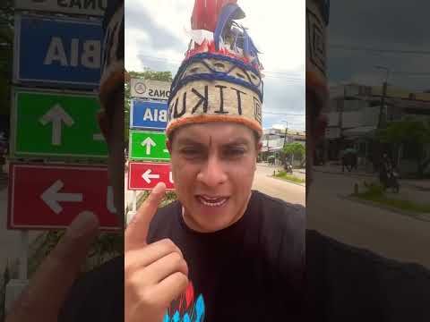 En Amazonas brasileño Navidad se festeja con nutritivo caldo de acai