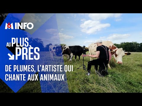 Plumes, un chanteur qui va au plus près des animaux