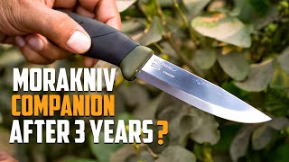 Best Value Fixed Blade Knife? Morakniv Companion Review After 3 Years!