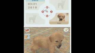 games like nintendogs for pc
