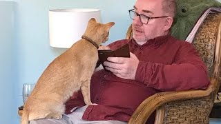 When your cat has a deep conversation with you | Funny Cat and Human 😂