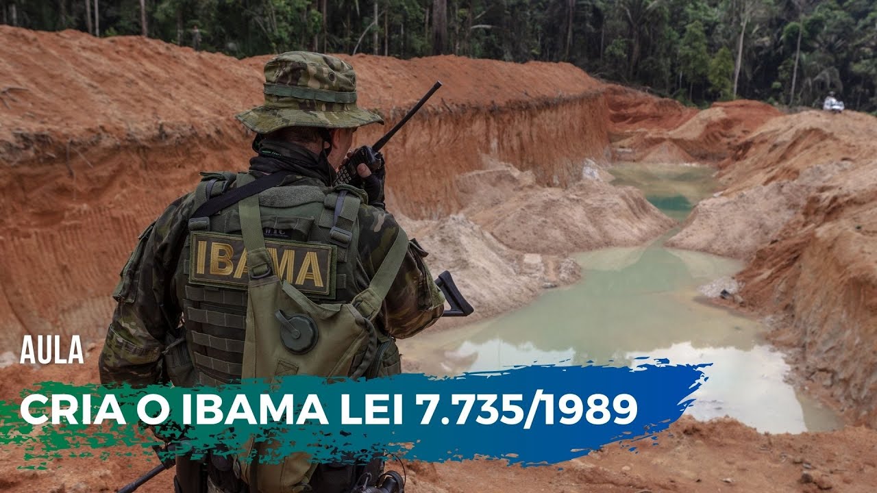 CRIA O IBAMA LEI 7.735/1989