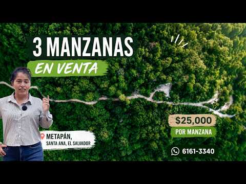 3 MANZANAS EN VENTA 🌿 | Terreno con Mucho Potencial para Invertir.
