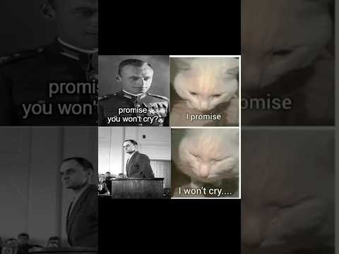 Inmate 4859 memes #sabaton #memes #poland