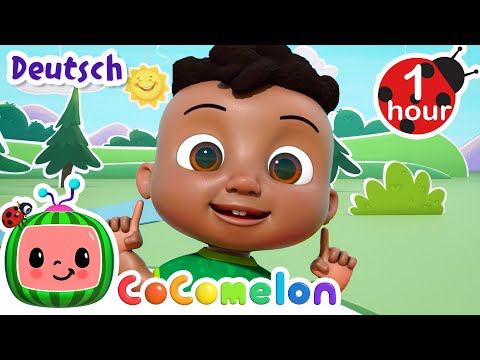 Kopf, Schulter, Knie und Zeh | | Cartoons und Kinderlieder | CoComelon - Tanzen und Spielen
