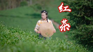 Video : China : Tea in Chinese cooking