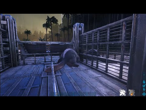 Best Taming Raft for Small Creature -Motorboat- Ark Survival Evolved PC