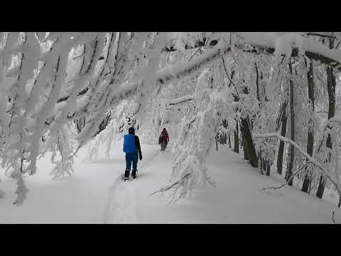 Bucegi iarna: Azuga - Valea Grecului - Cabana Diham