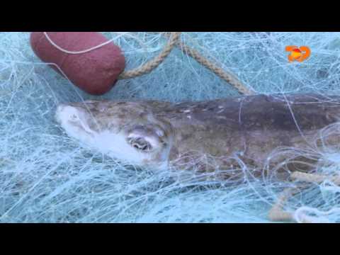 Ne Shtepine Tone, 15 Prill 2016, Pjesa 1 - Top Channel Albania - Entertainment Show