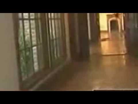 Duch Michaela Jacksona