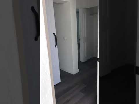 The Seahorse - Video 5 of 5