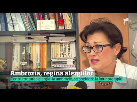 Ambrozia, regina alergiilor