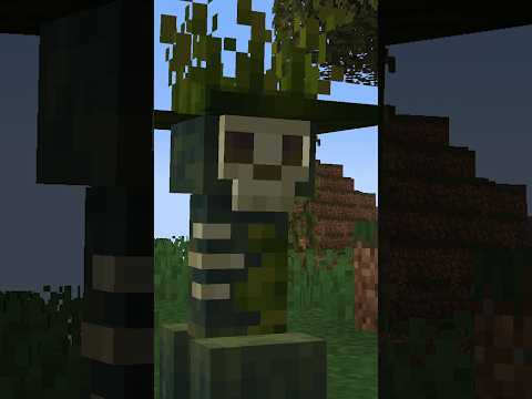 UNSEEN Creepers in Minecraft?! 😱