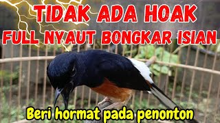 Download lagu Pancingan Murai Batu Gacor & ketrekan ampuh menjadikan murai batu cepat bunyi NYAUT gacor mp3 Download lagu Pancingan Murai Batu Gacor & ketrekan ampuh menjadikan murai batu cepat bunyi NYAUT gacor mp3