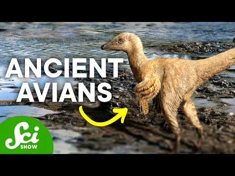 恐龙时代的鸟类（The Birds That Lived in The Age of Dinosaurs）