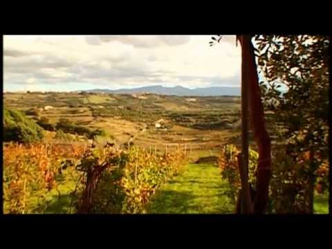 Mondovino (2004) Trailer