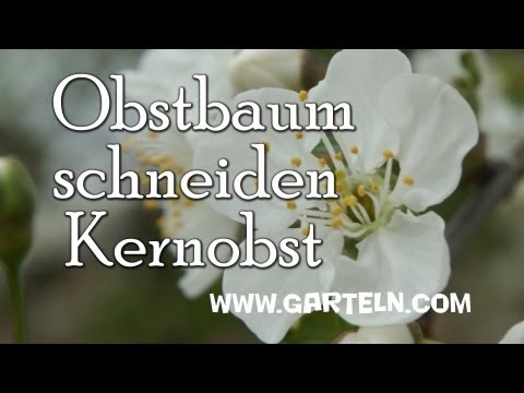 Obstbaumschnitt: Kernobst - Full HD Video mit Canon Mark II gefilmt