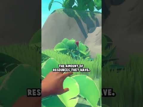 You Have To Get Lucky To Even Start A Raft Speedrun