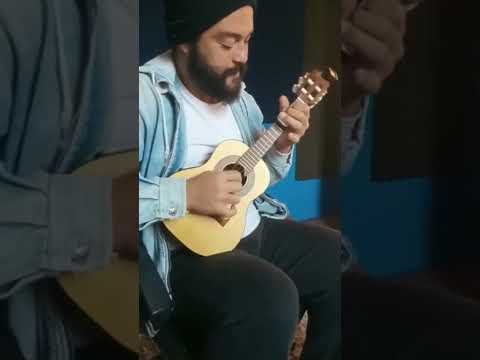 Um Sonho De Chorinho - Grupo Paulicéia