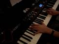 Limp Bizkit Hold On Vkgoeswild Piano Cover