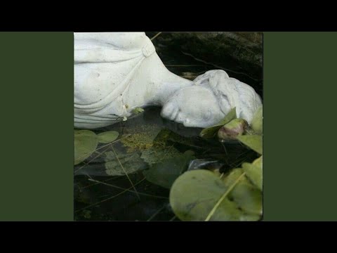 vindictive (feat. Lyfelxss)