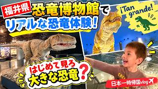 【一時帰国】福井県恐竜博物館で本物の恐竜体験! ✨¡Dinosaurios en Japón!