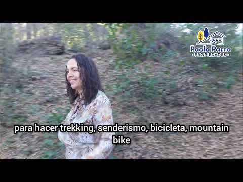 PROPIEDADES PAOLA PARRA OFRECE RESERVA NATURAL EN MELIPEUCO | Inversión Única en la Araucanía Andina